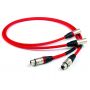 Кабель XLR Chord Company Shawline 2XLR–2XLR 2m